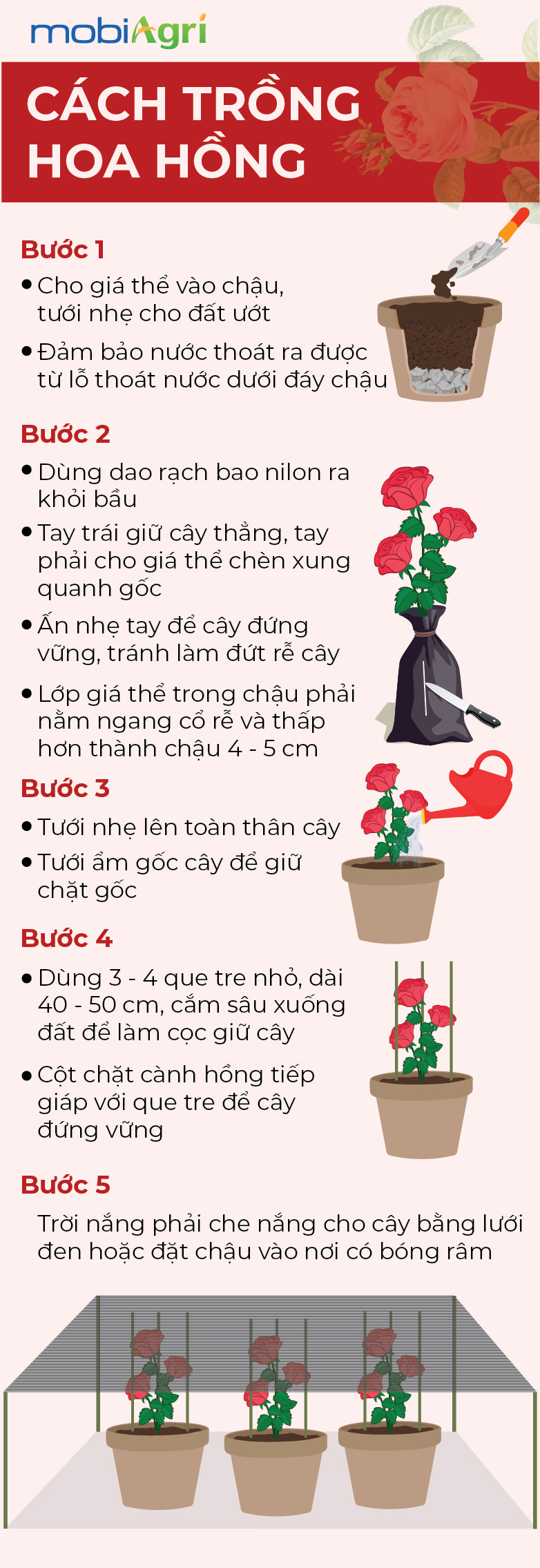 Bài 3- Cách trồng hoa hồng-01_1664264020.jpg